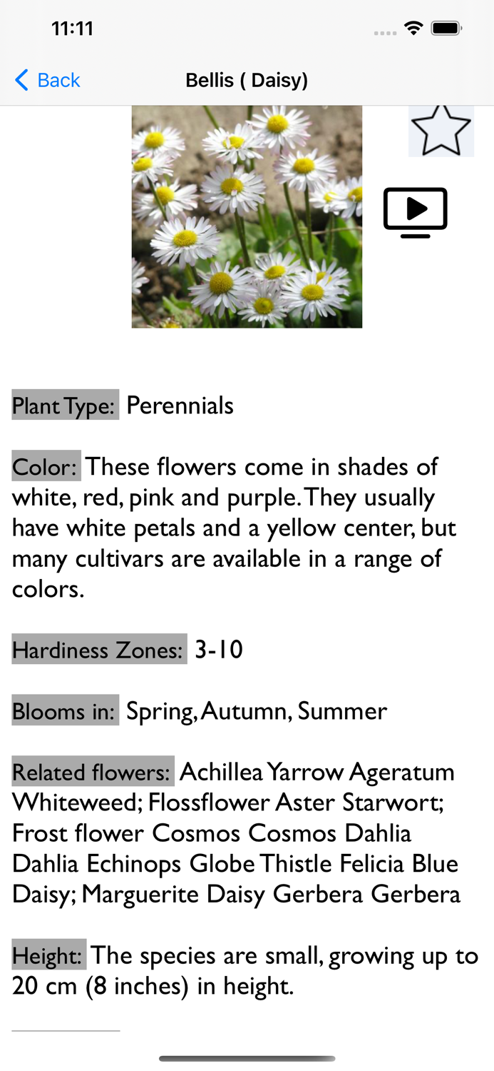Flowers Dictionary with Images