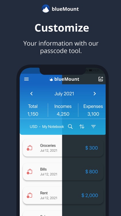 BlueMount - Money manager screenshot-6