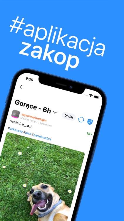 Zakop - Wykop.pl browser