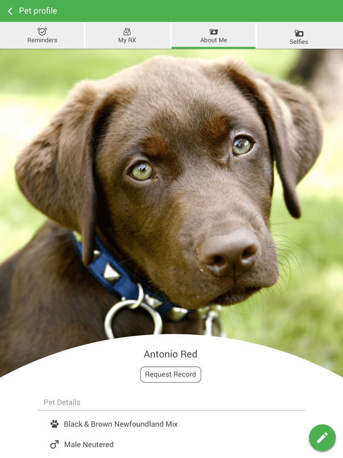 Good Shepherd Pet Hospital