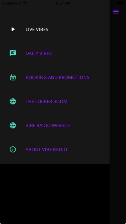 VIBE RADIO App