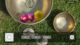 Game screenshot Tibetan Bowl Lite mod apk