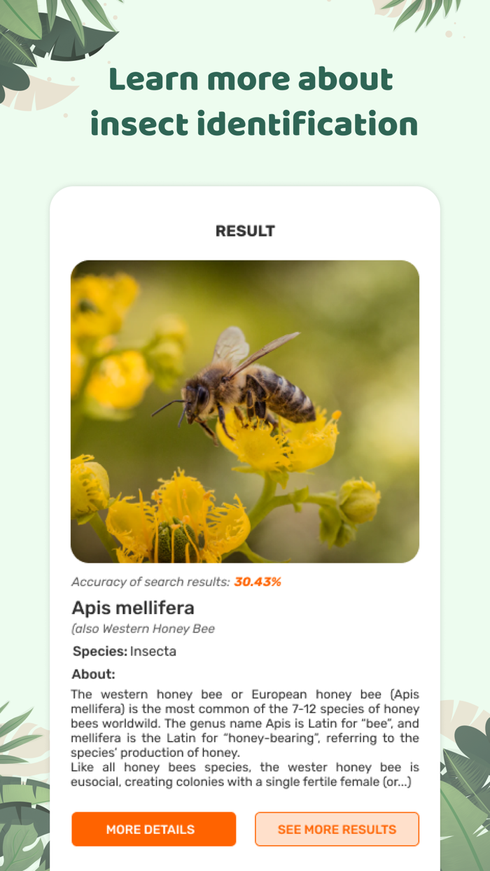 Insect id Bug identifier