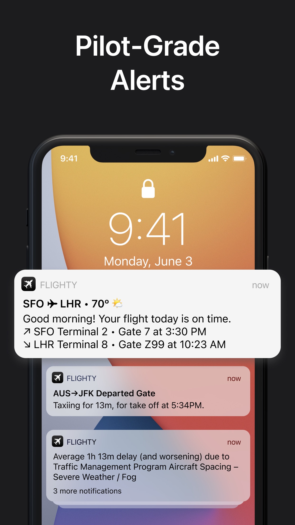 Screenshot do app Flighty - All Airlines Tracker