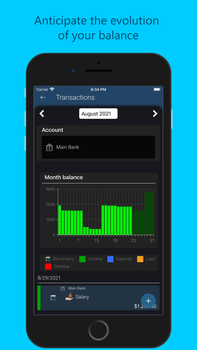 Saru - Expenses and Money Screenshot on iOS
