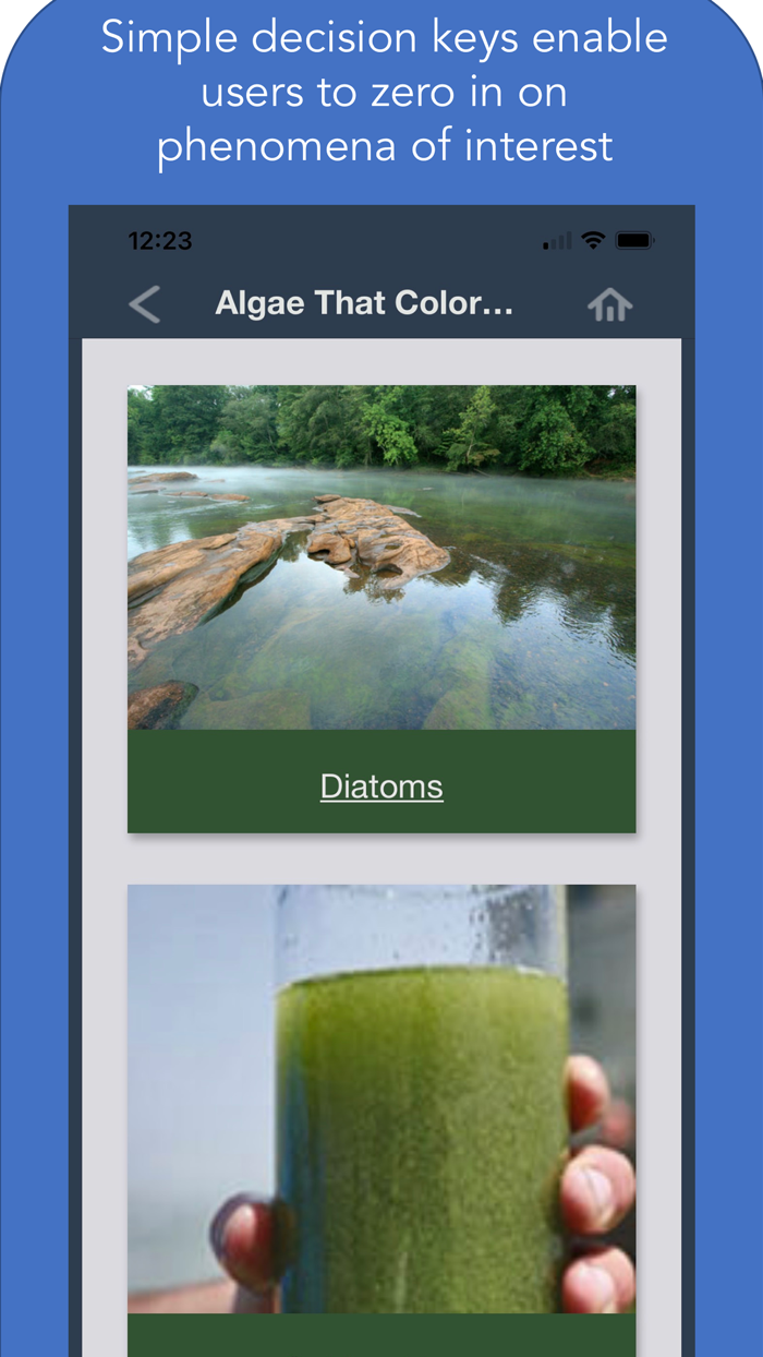 Maine Aquatic Phenomena