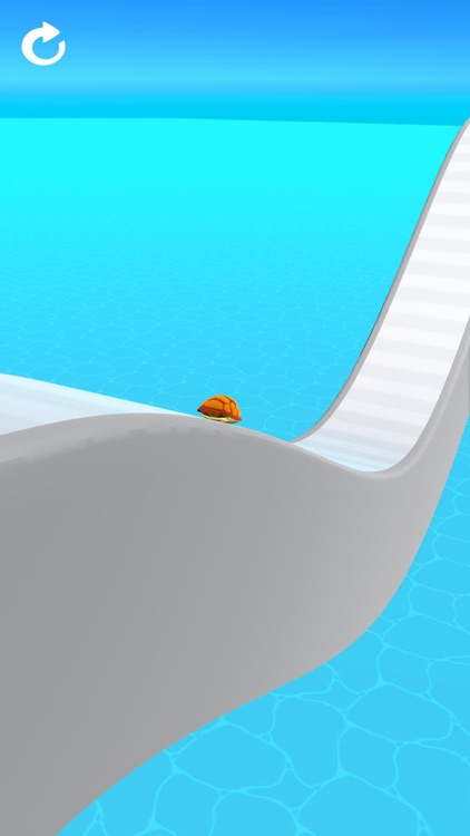 Turtle Race 3D screenshot-4