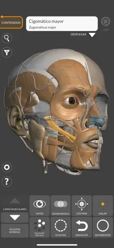 Imágen 9 Anatomía 3D para el artista 2 iphone