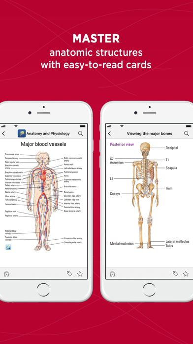 Anatomy & Physiology Made Easy Screenshot