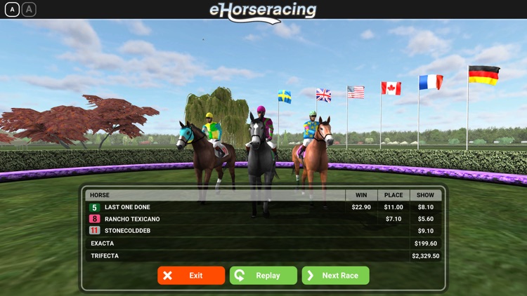 eHorseracing.com Race Viewer screenshot-6