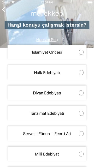 mürekkep: AYT Edebiyat screenshot 4