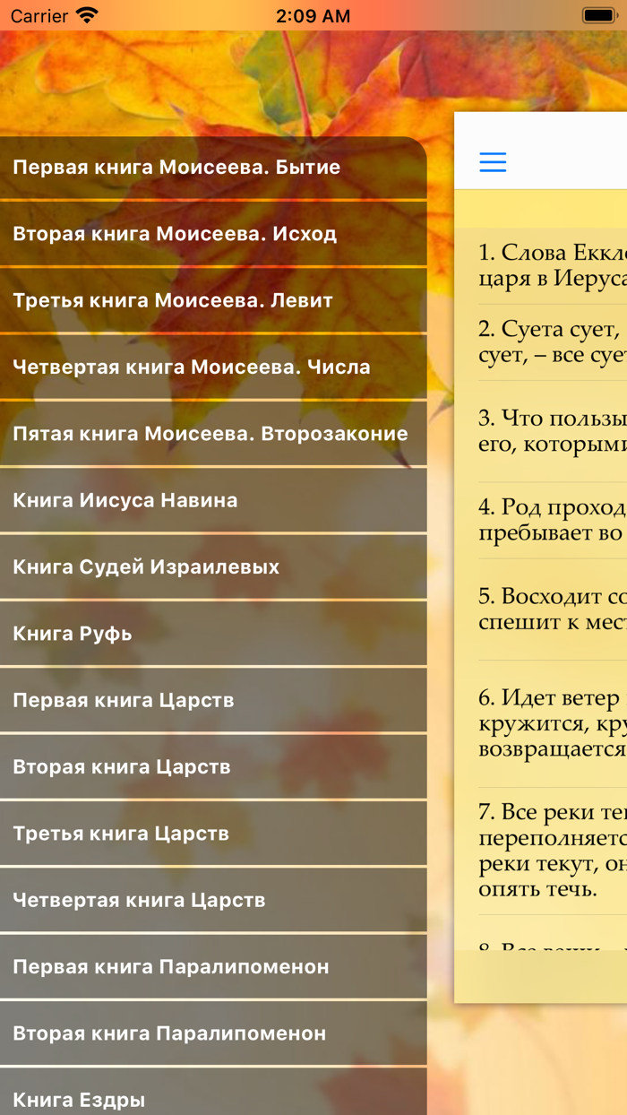 Библия Синодальный Русский