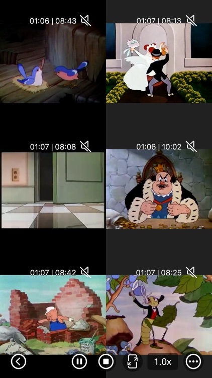Multi Video Player Plus screenshot-4