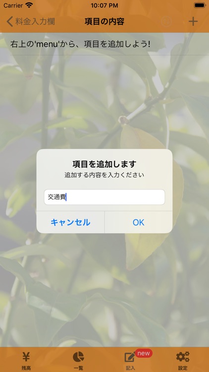 理系な家継簿 screenshot-7