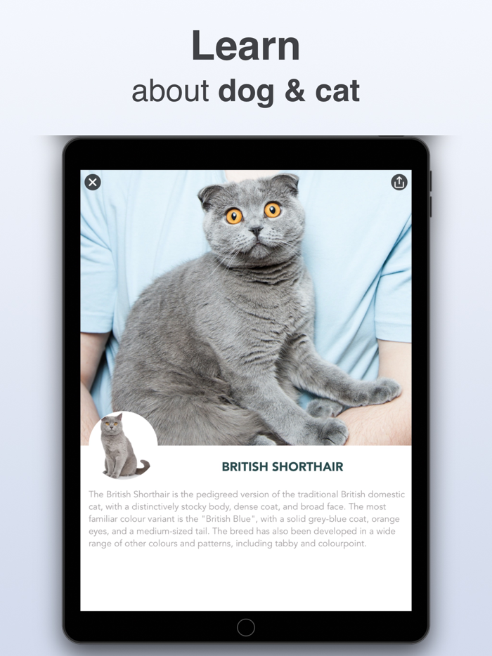 Pet Identifier - What dog, cat
