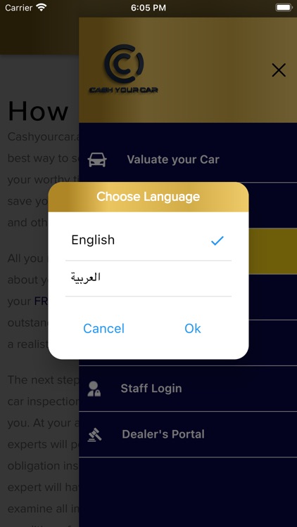 Cash Your Car screenshot-6