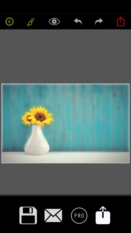 Blur photo background editor