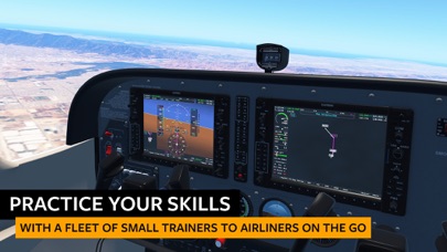 Screenshot from Infinite Flight Simulator