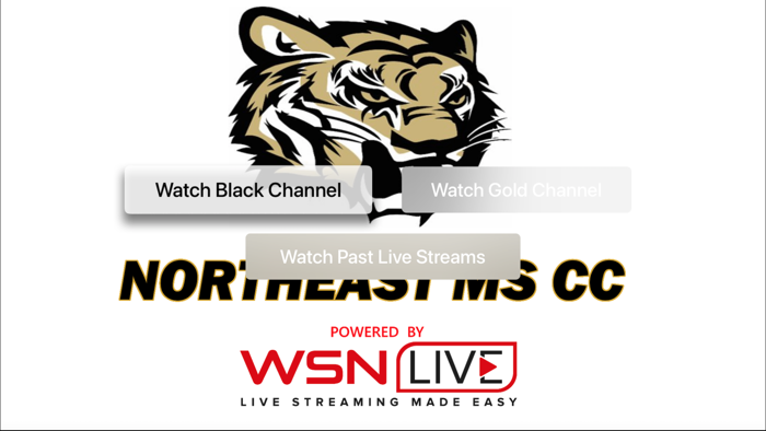 Northeast Mississippi CC