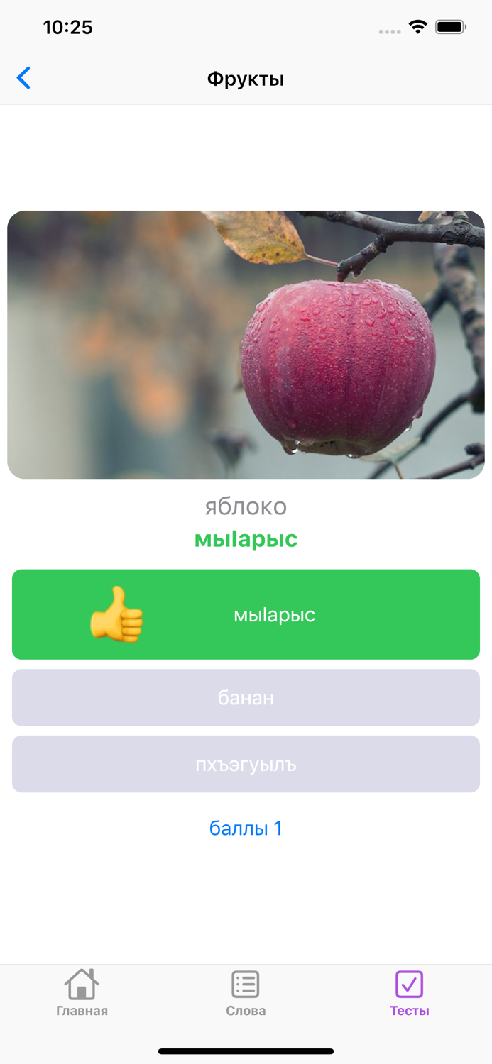 Словарик по темиргоевскому