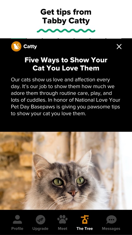 Tabby: Cat Person's Dating App screenshot-8