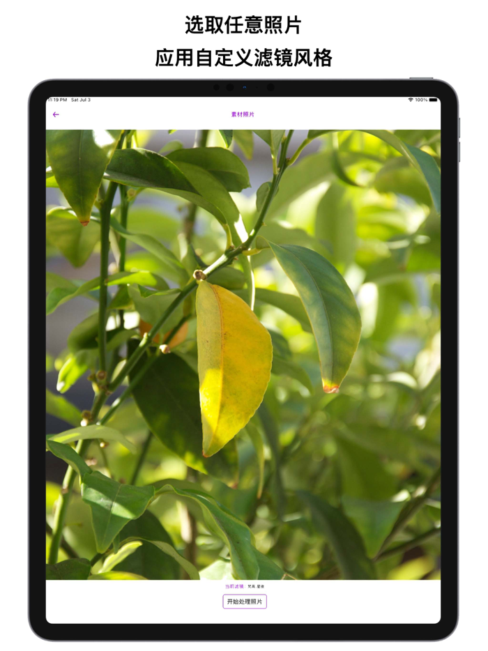 艺术家滤镜-支持自定义风格样式的滤镜