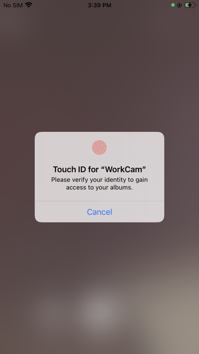 WorkCam