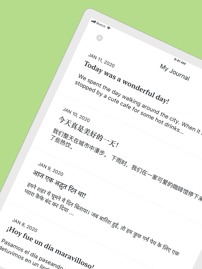 Zen Journal - Diary  Notes