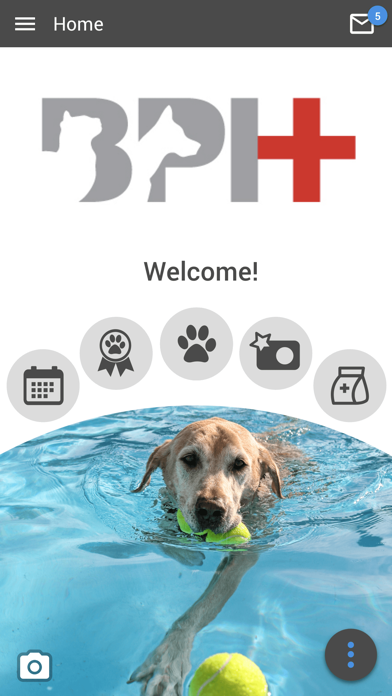 How to cancel & delete Broadway Pet Hosp from iphone & ipad 1