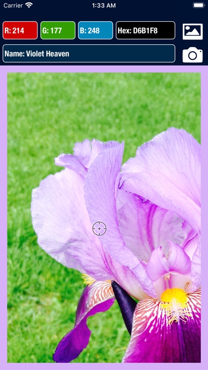 What Color! screenshot-4