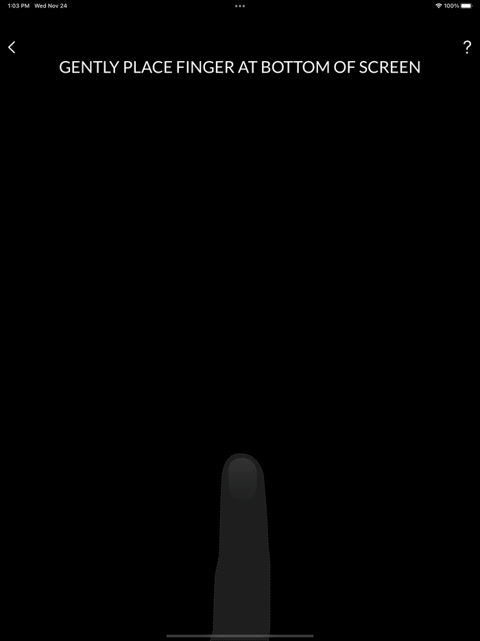 Jewelry by Johan Ring Sizing