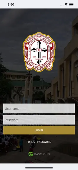Game screenshot St. Rose of Lima - Nueva Ecija mod apk