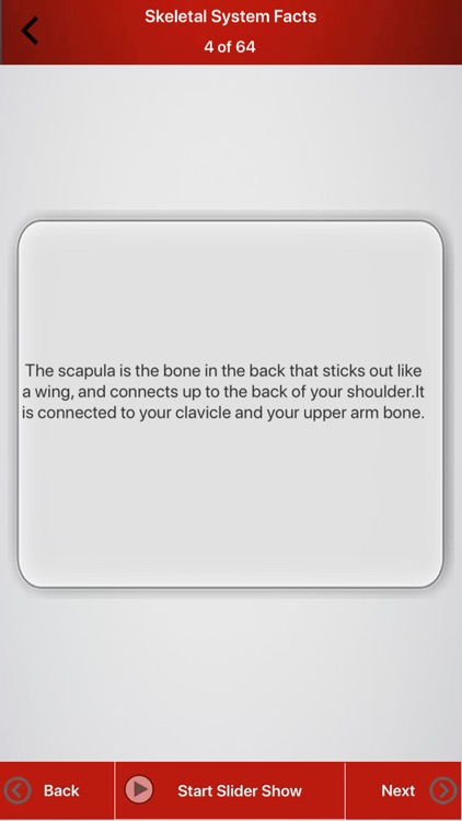 Human Skeletal System Trivia screenshot-5