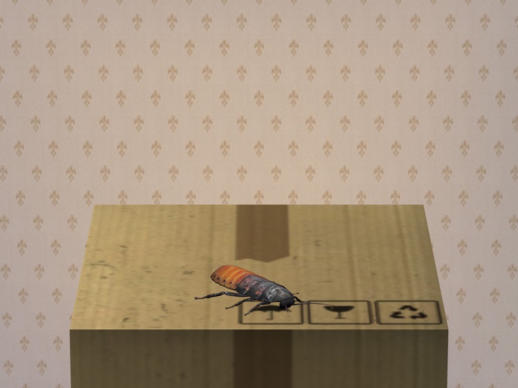 Beetle Cockroach Simulator screenshot-5