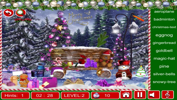 Hidden Objects:Christmas Fun