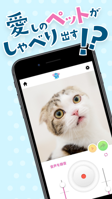 おしゃべりペット：犬や猫の面白動画メーカー... screenshot1