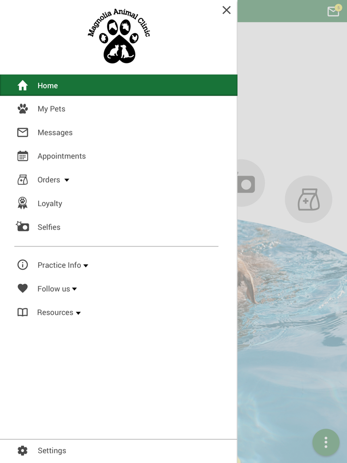 Magnolia Animal Clinic