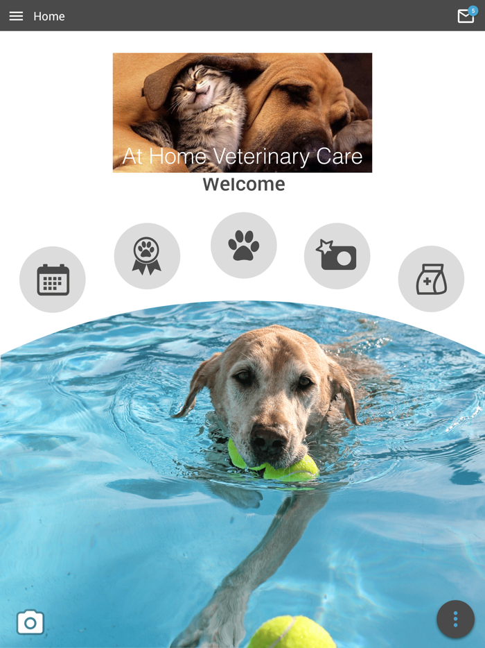 At Home Veterinary Care