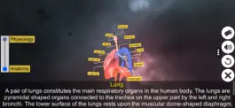 Game screenshot Respiratory System Physiology hack