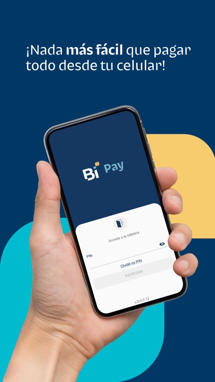 BI Pay Wallet