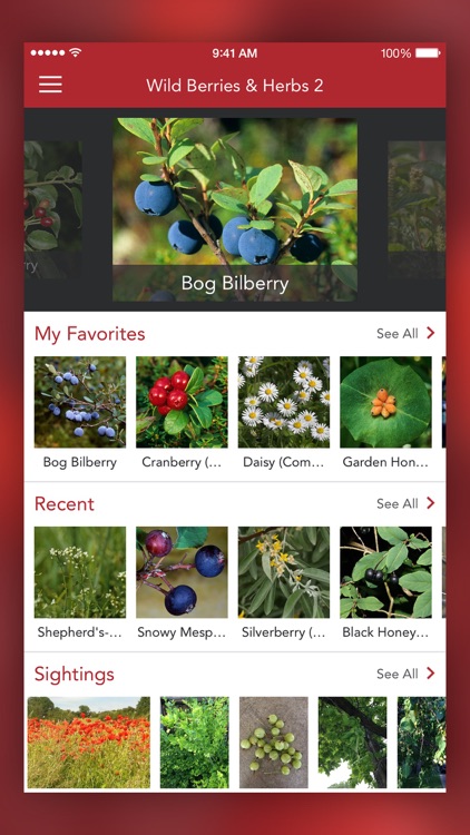 Wild Berries and Herbs 2 PRO screenshot-6