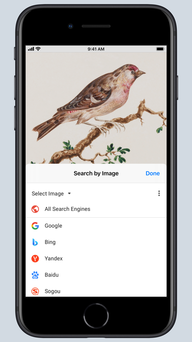 search-by-image-for-safari-ipad-screen-shot-0