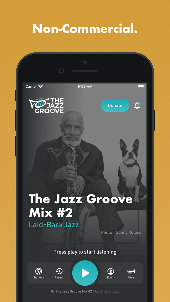 The Jazz Groove