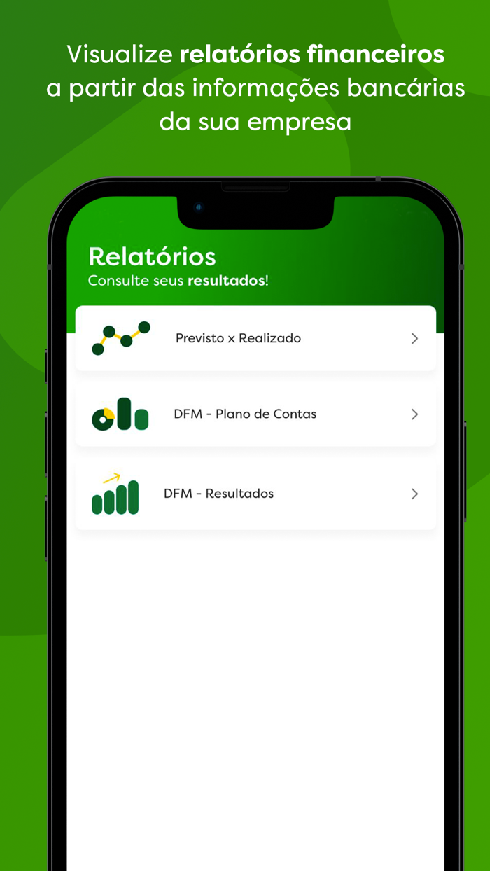 Organizador Financeiro