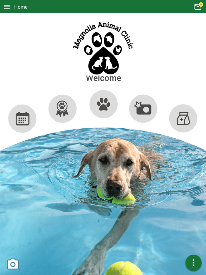 Magnolia Animal Clinic