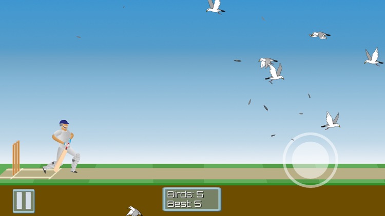 CricketMayhem: 2D Cricket Game screenshot-5