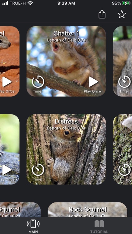 Squirrel Calls + screenshot-3