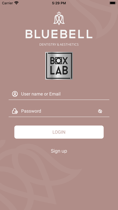 Bluebell BoxLab screenshot 2