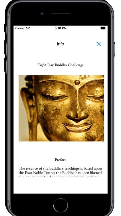 8 Day Buddha Challenge