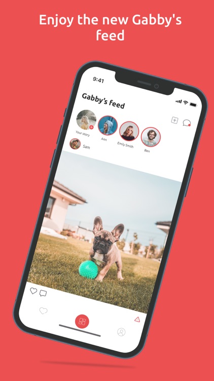 Gabby-dating & health for dogs screenshot-3